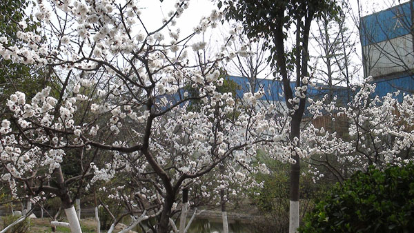 ̫�O�²����O(sh��)�乫˾�S�^(q��)���Ә��_�M�˻�