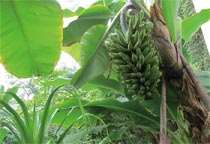 �������������B(t��i)�@��(n��i)���L���㽶