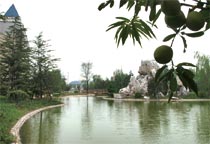 ������^(q��)һ��