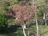 ̫�O�²����O(sh��)�乫˾���쾰ɫ