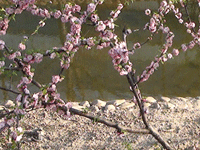 ̫�O�²����O(sh��)�乫˾���쾰ɫ