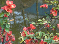 ̫�O�²����O(sh��)�乫˾���쾰ɫ