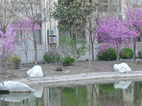 ̫�O��@��ɫ��̫�O�²����O(sh��)�乫˾